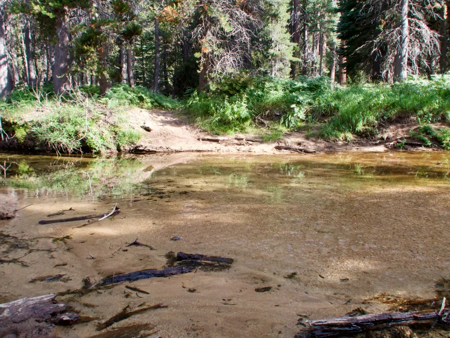 Piute Creek in Yosemite National Park