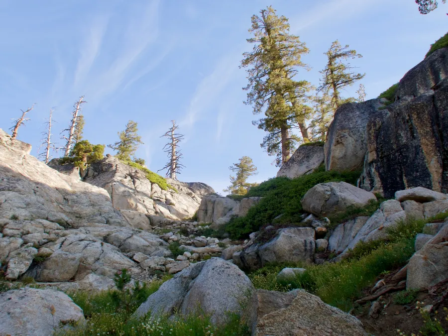 A steep and rocky climb on the PCT in Yosemite