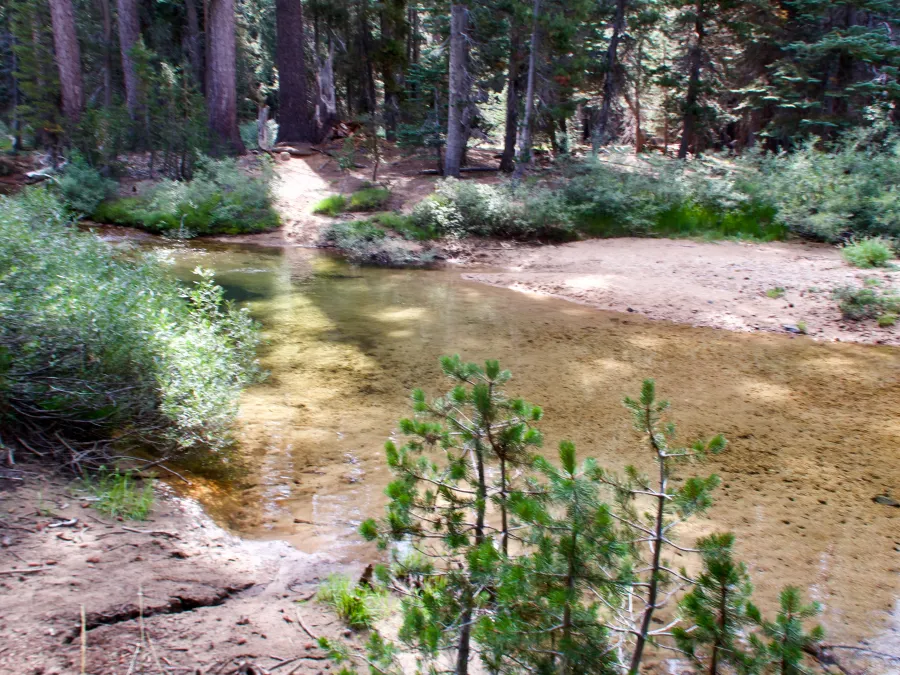 A shallow stream in Stubblefield Canyon in Yosemite