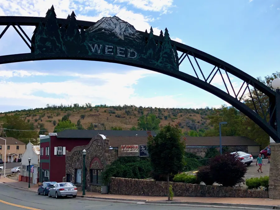 Weed, California