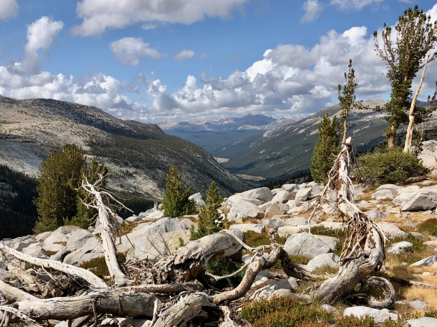 Another look back to Lyell Canyon