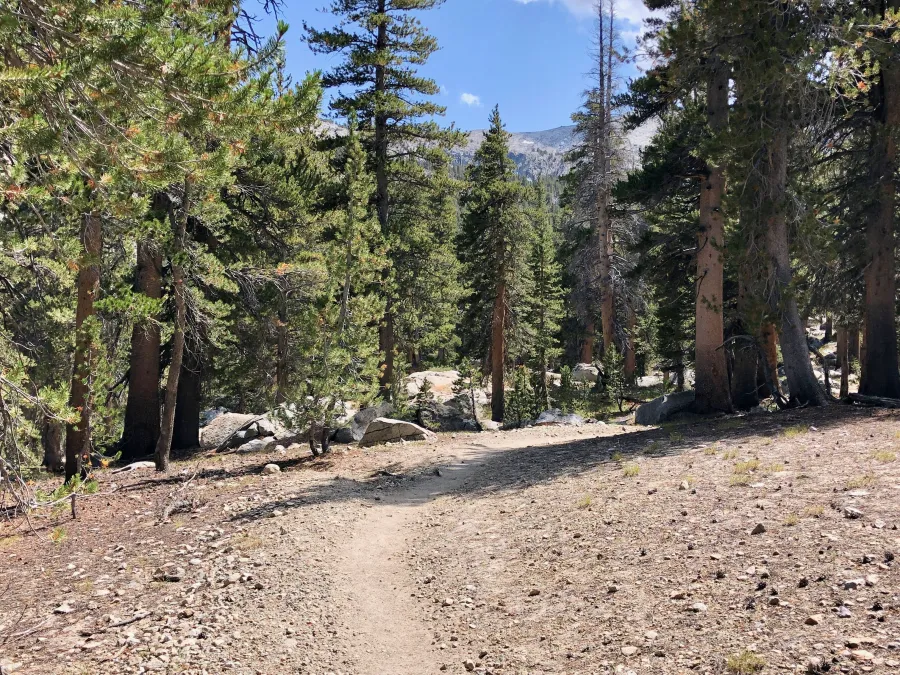 Climbing to Lyell Pass