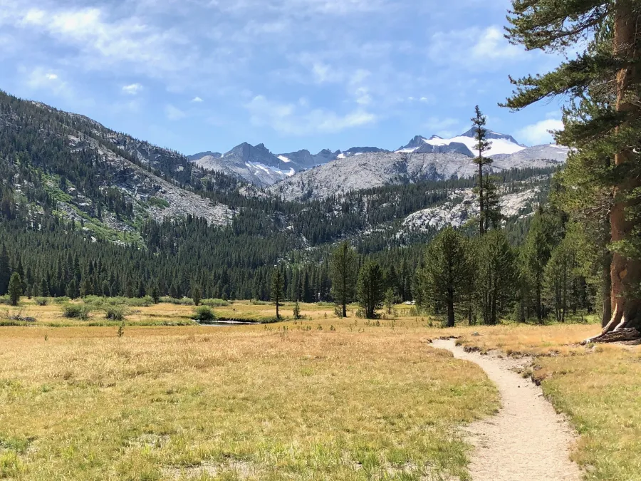 Nearing the end of Lyell Canyon