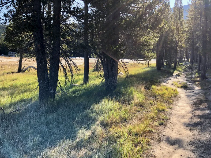 Crossing Tuolumne Meadows