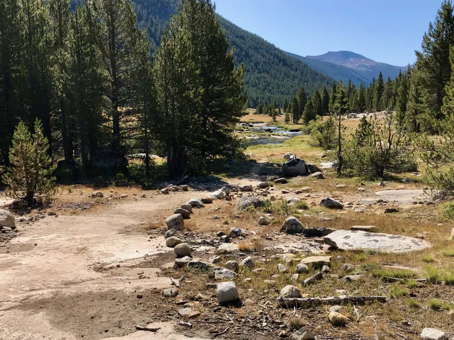 Improved trail in Lyell Canyon