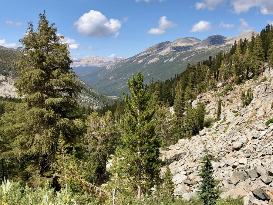 Looking back to Lyell Canyon