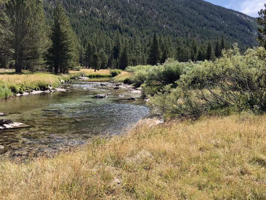 Lyell Fork