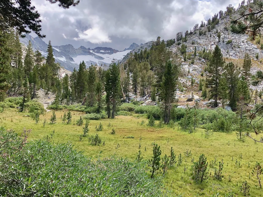Looking toward Donohue Pass