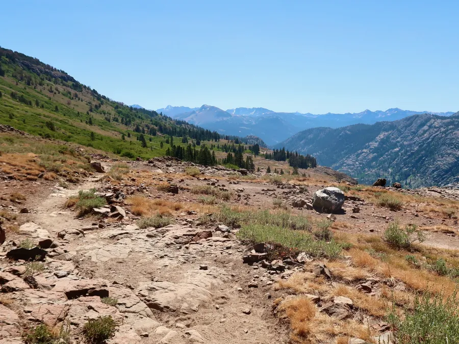 The PCT below San Joaquin Mountain
