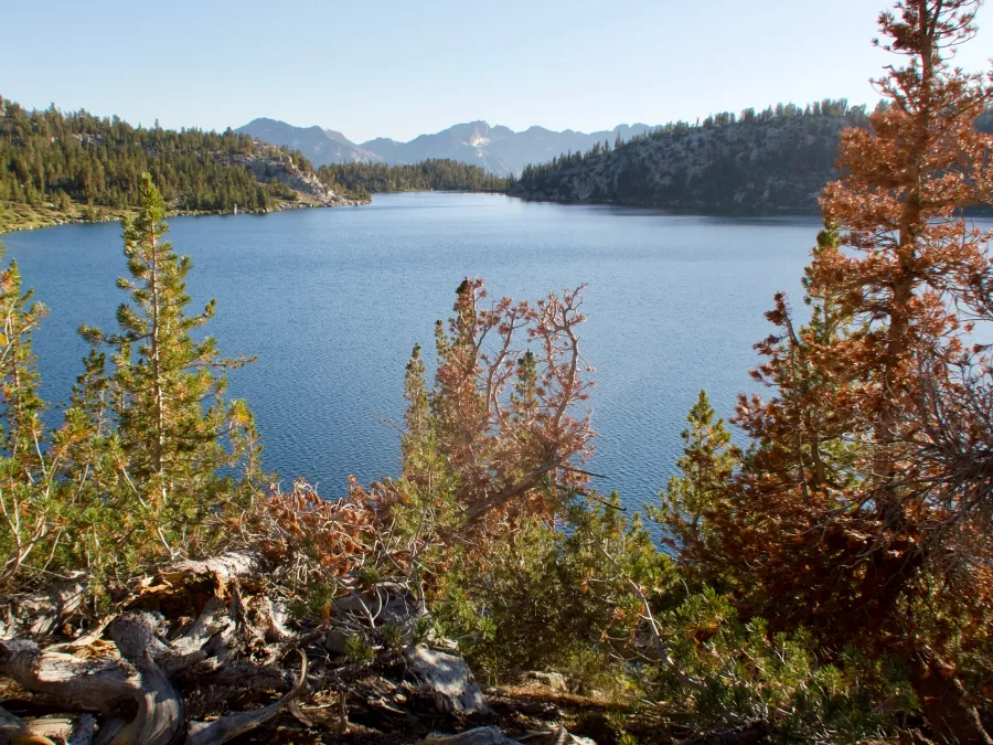 Leaving Virginia Lake