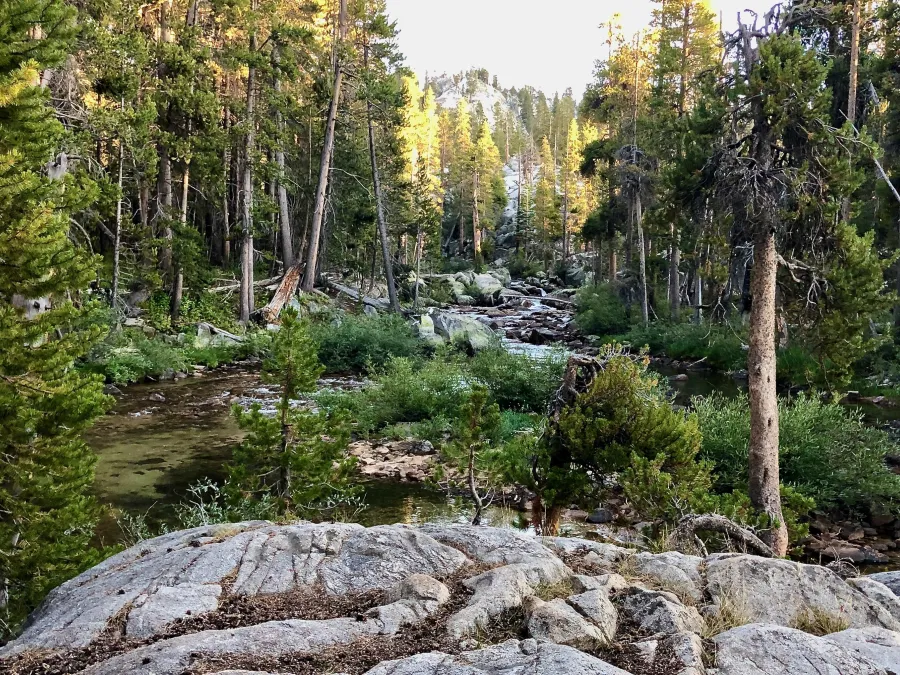 Bear Creek