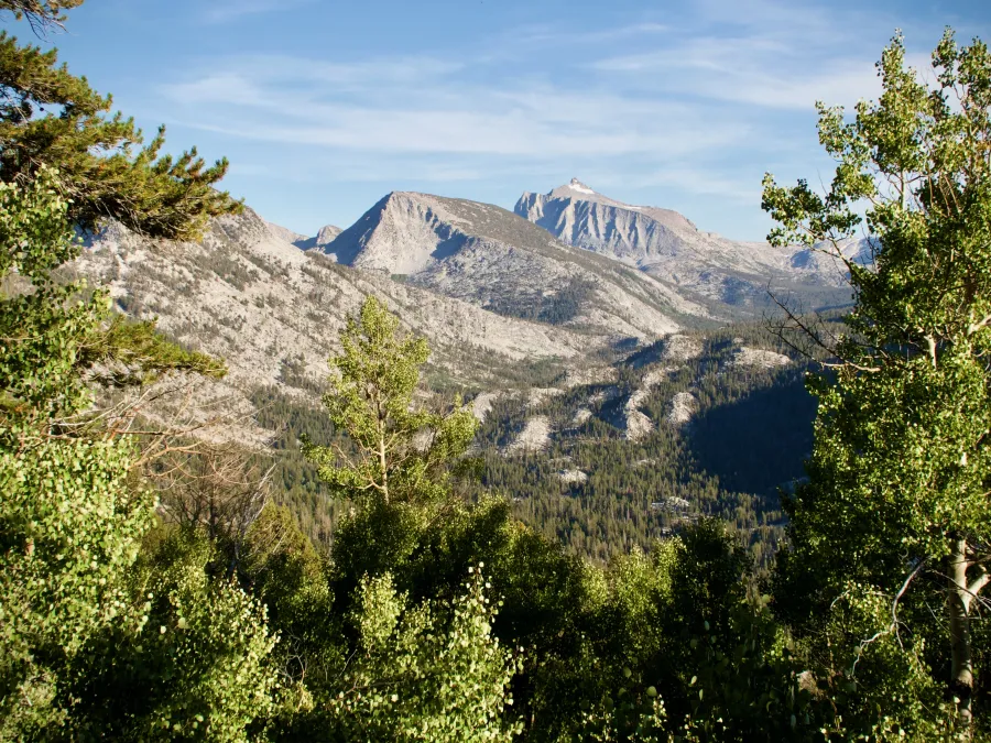 A view of Seven Gables
