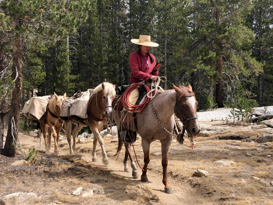 Horses from Muir Trail Ranch