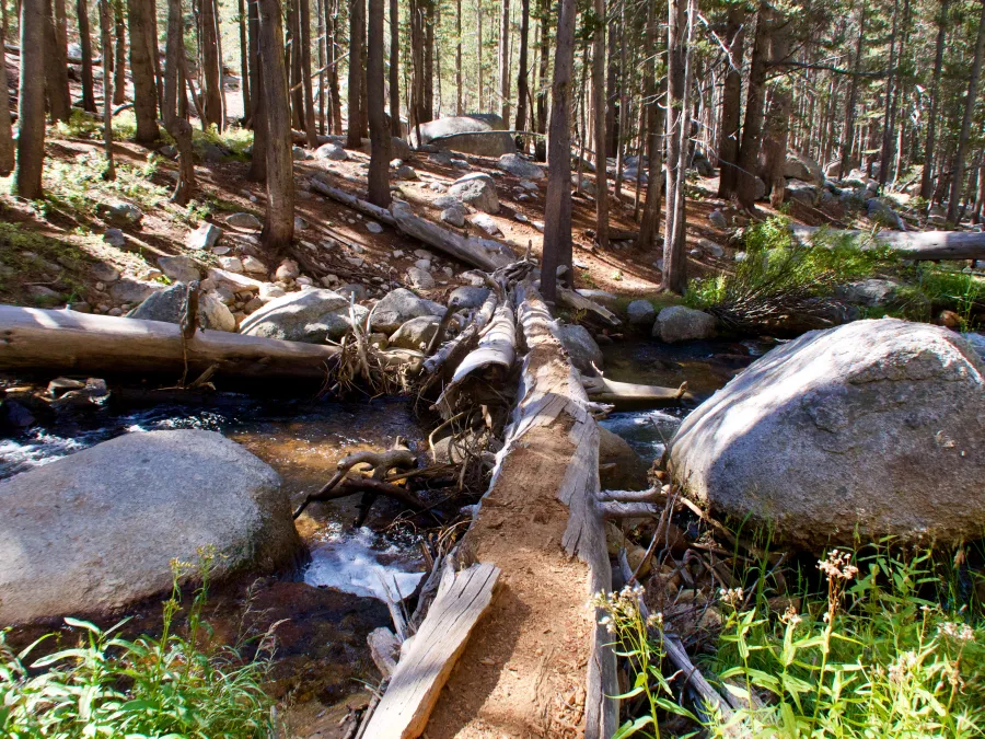 A log crossing a creek