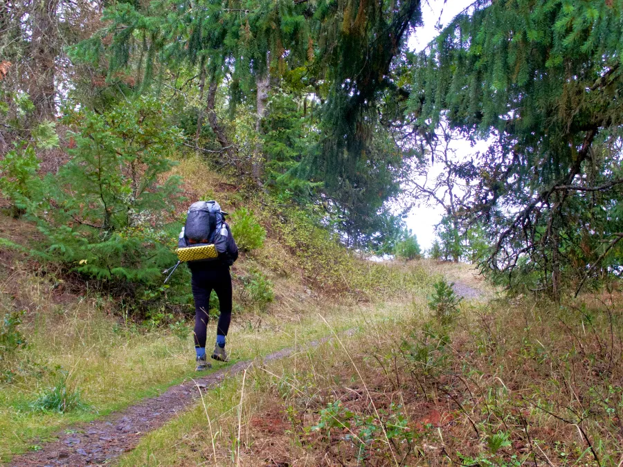 Bluejay hikes on the PCT