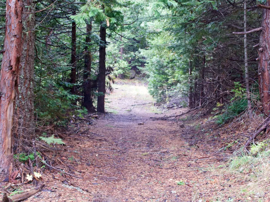 Siskiyou Mountain Wagon Road