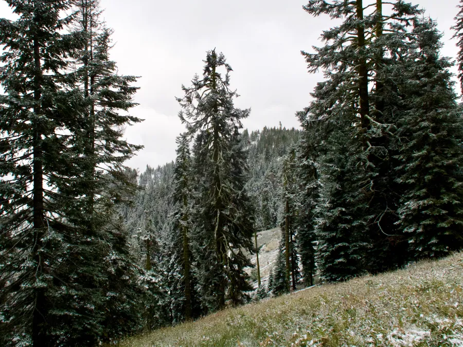 A snowy slope