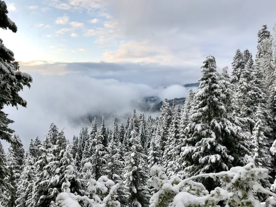 Fluffy snow and fluffy clouds