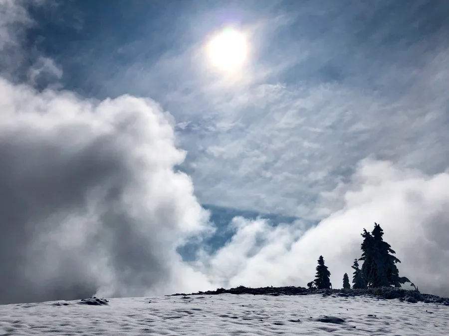 The sun is filtered through high, thin clouds