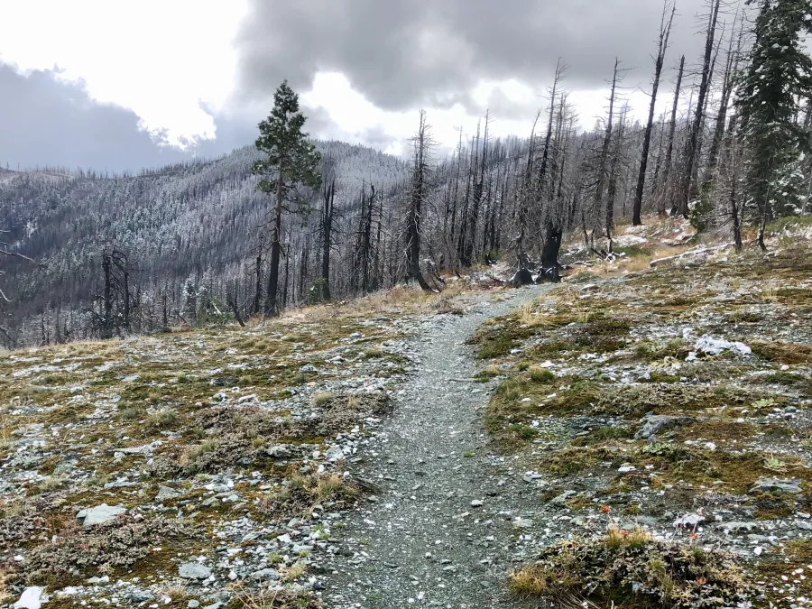 A ridge is nearly snow-free