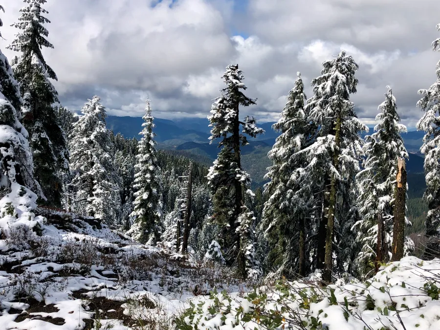 Snow begins to melt