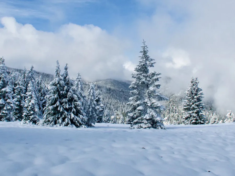 Sunlight and blue sky appears