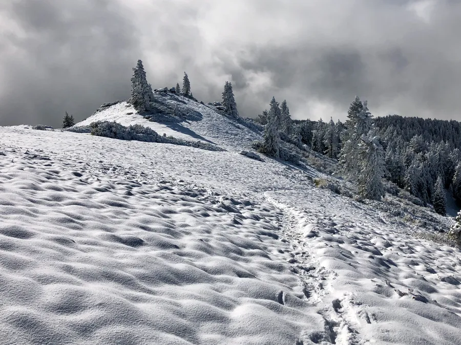 Tracks in the snow go over a snowy ridge