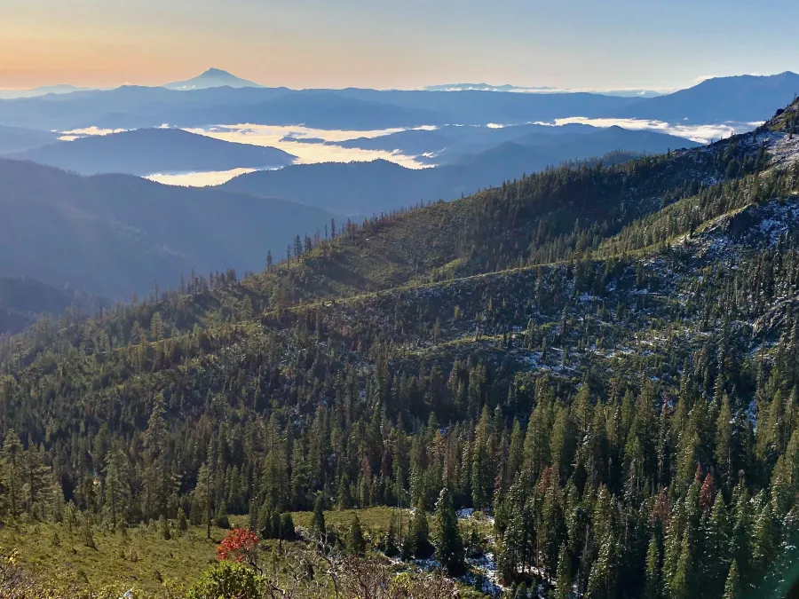 A view of Mt. Shasta