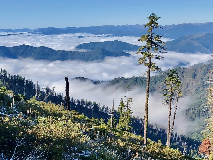 A sea of clouds