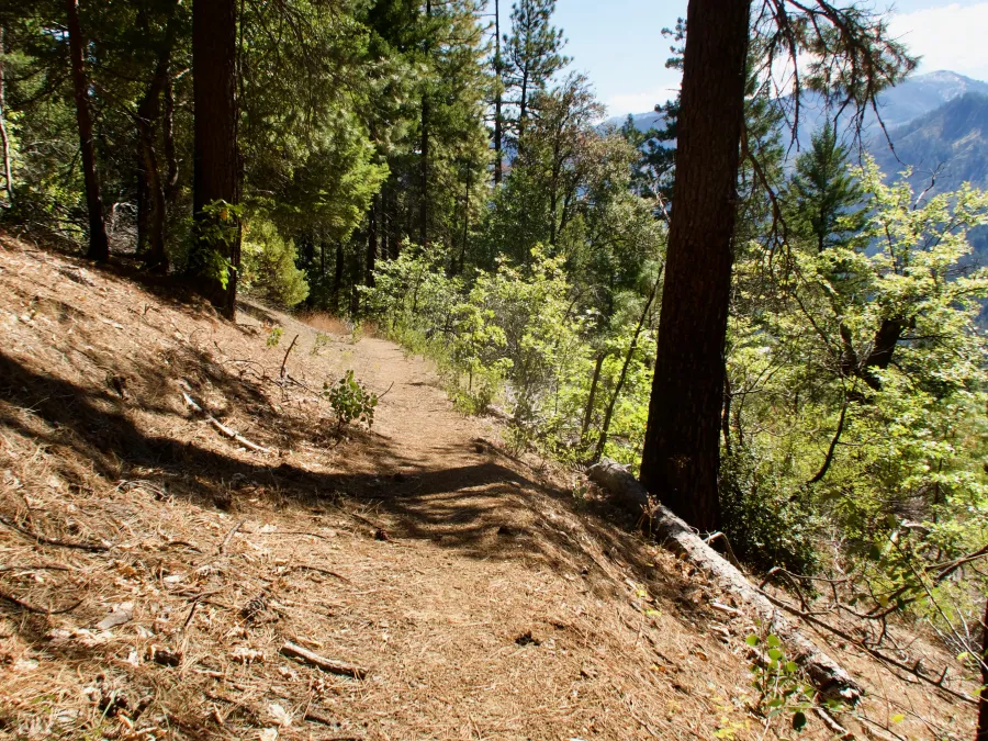 A smooth descent to Seiad Valley