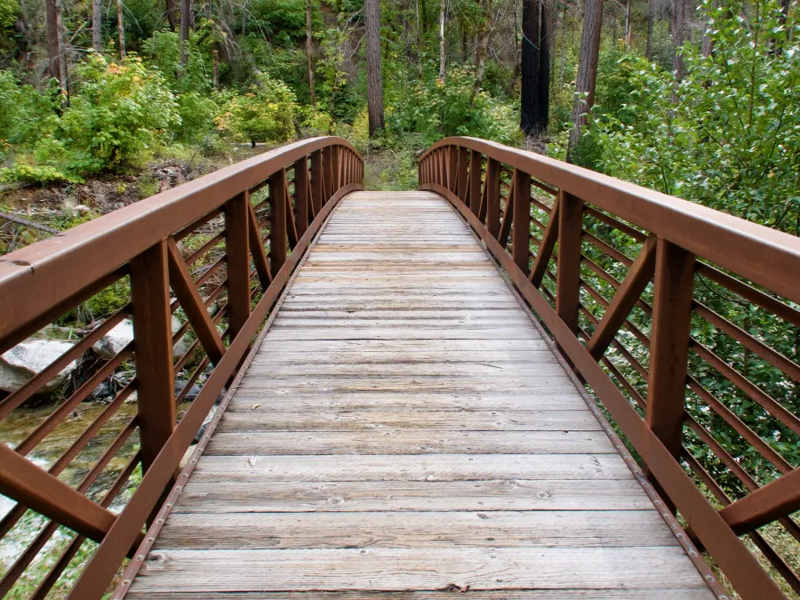 A footbridge over Grider Creek