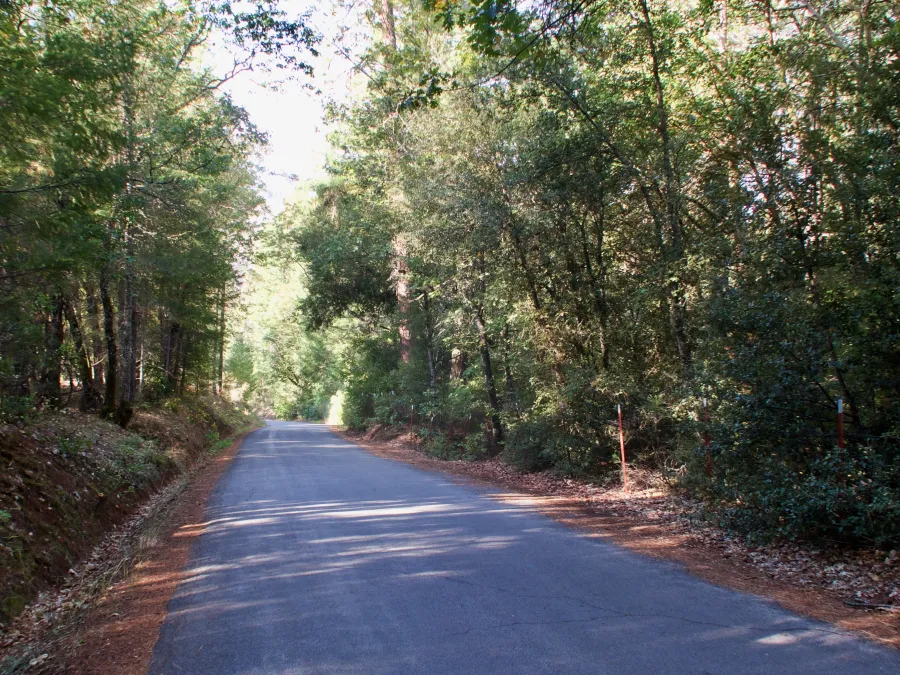 A road walk on the PCT