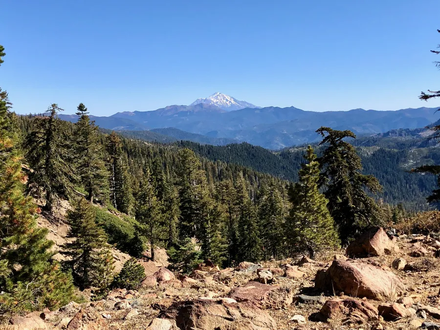 A view of Mt. Shasta
