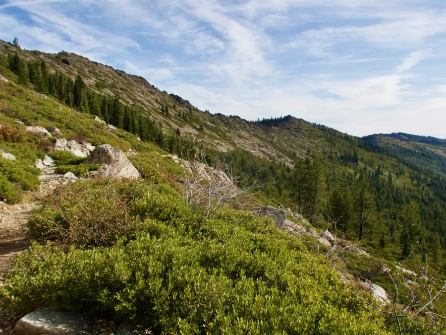 The trail followed a long ridge