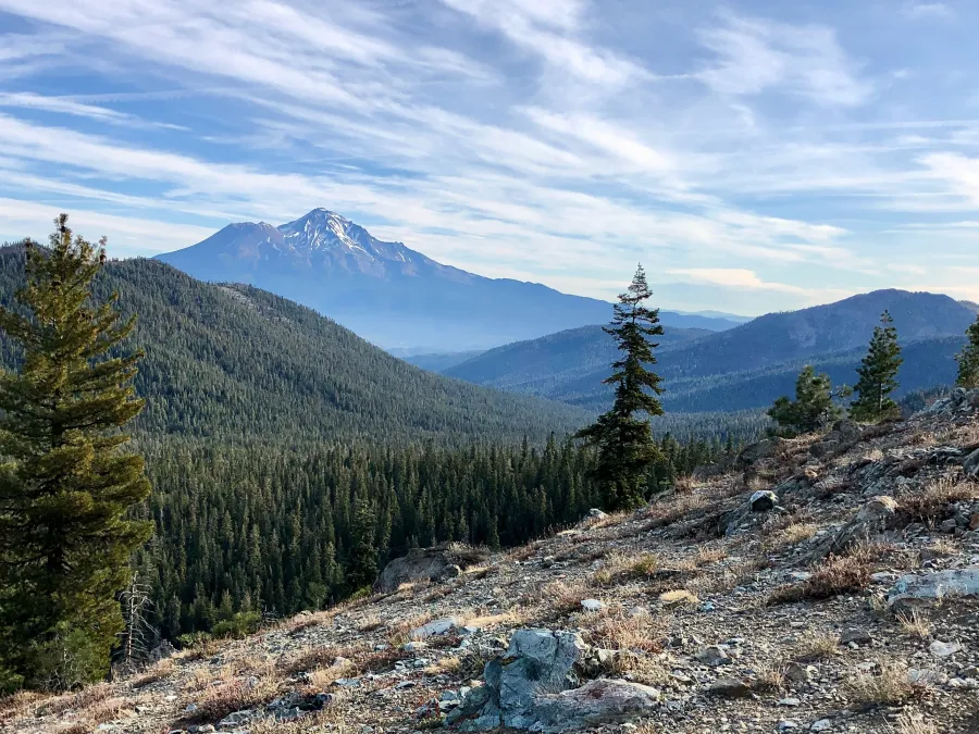 Mt. Shasta