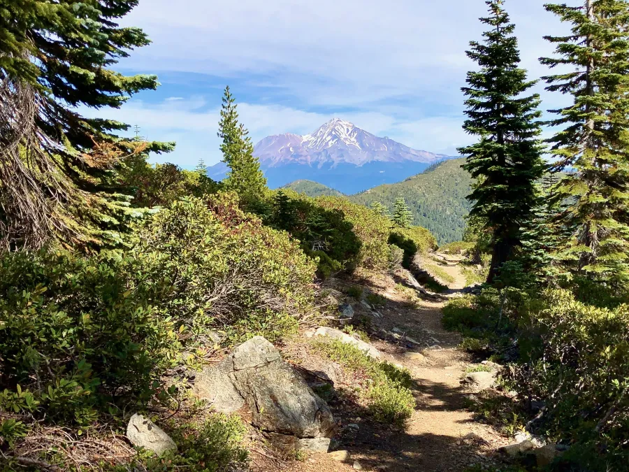 A view of Mt. Shasta from the PCT