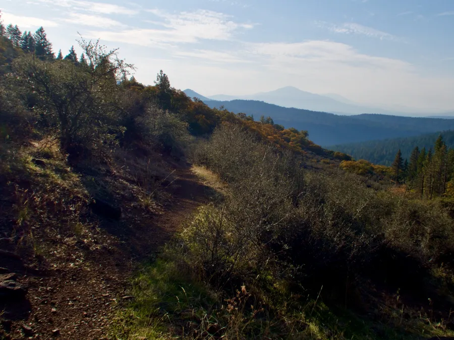View of Burney Mountain and Crater Peak