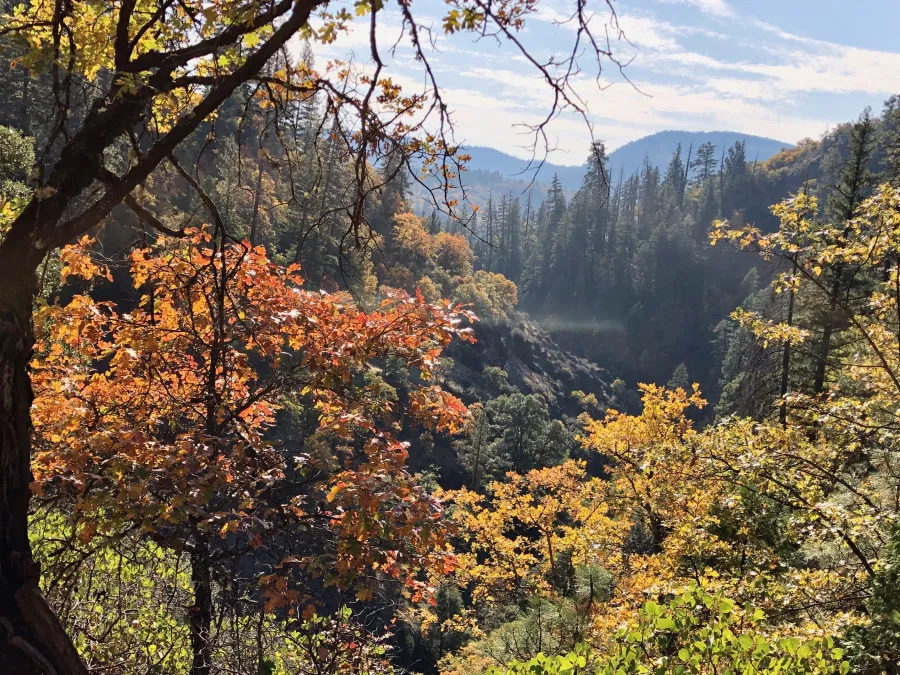 Descending toward Rock Creek