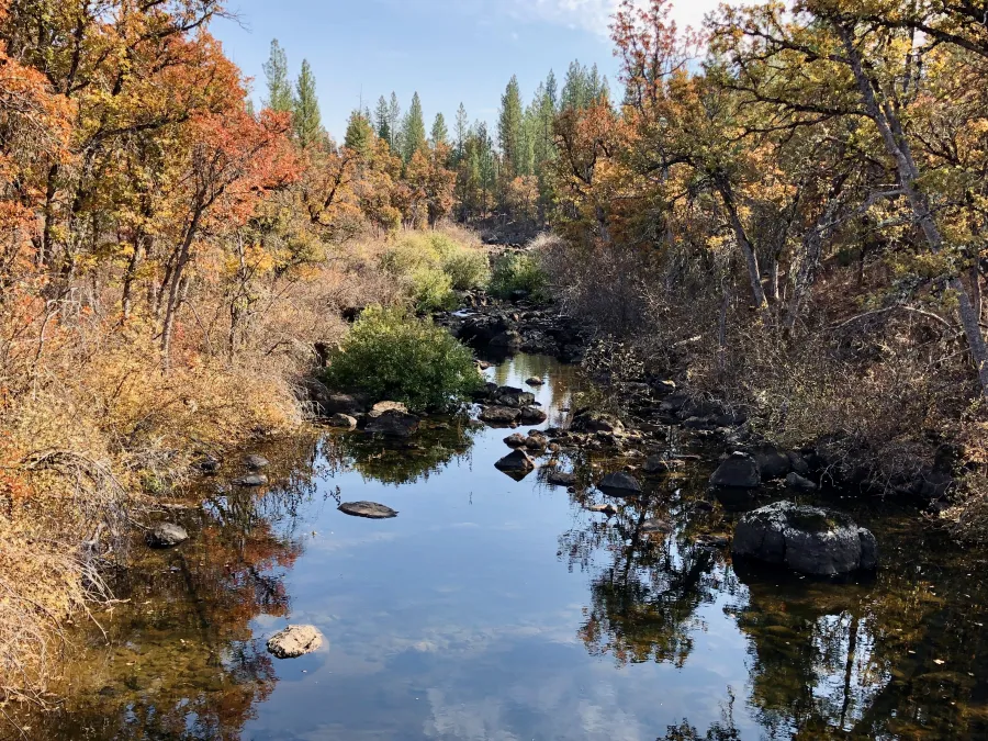 Burney Creek