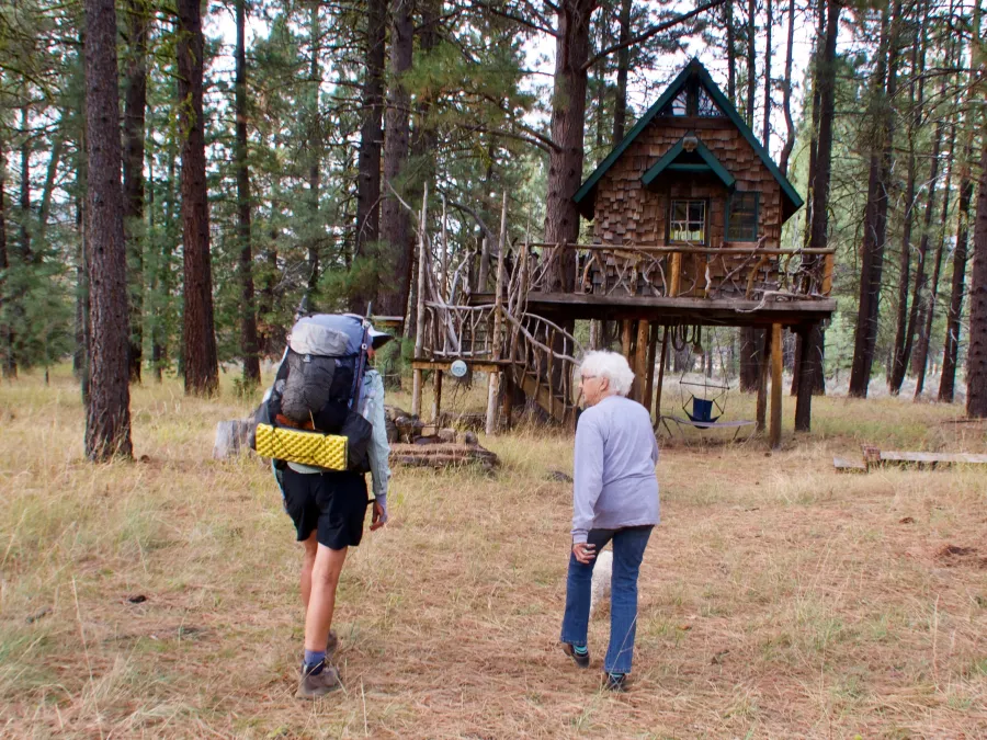 Bluejay and Firefly walk toward the treehouse