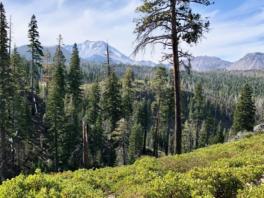 A view of Lassen Peak and Sunflower Flat