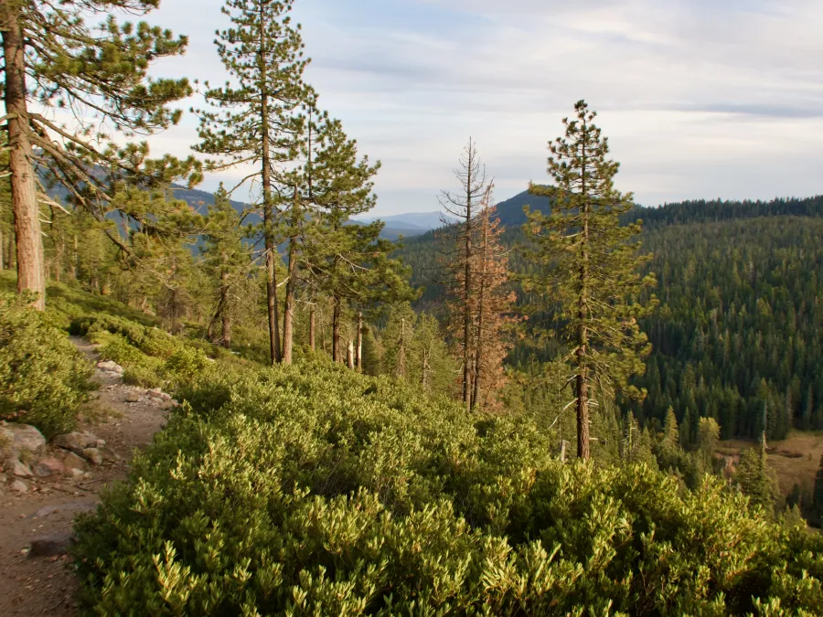 Descending into Warner Valley