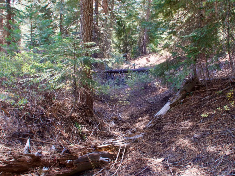 Dutch Hill ditch