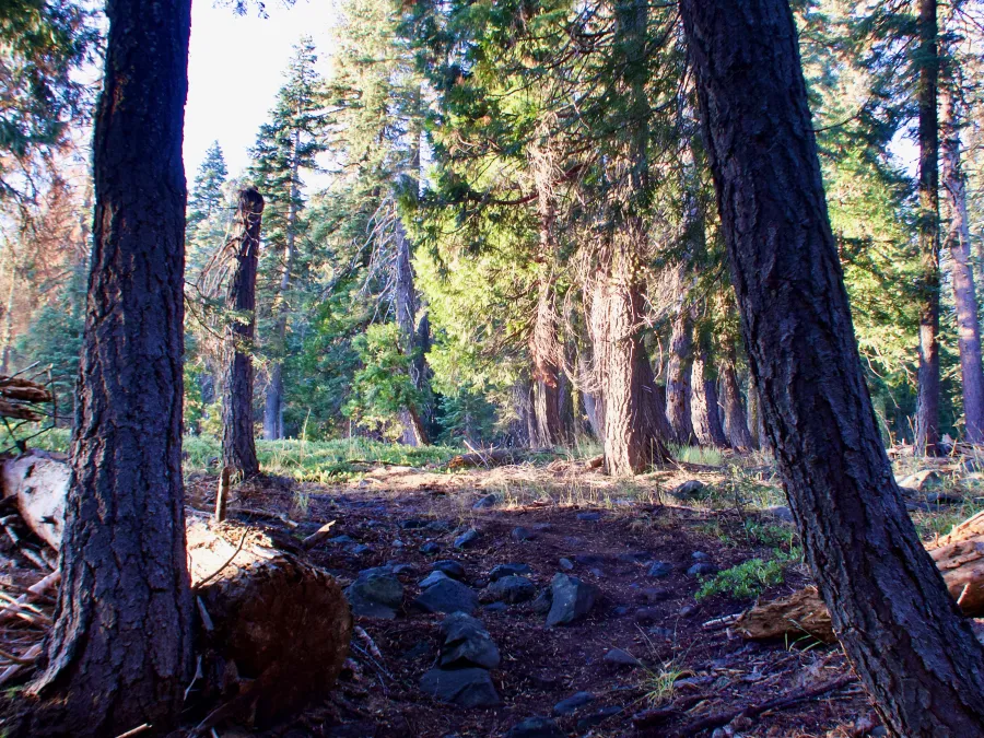 One of the few places where the trail was rugged