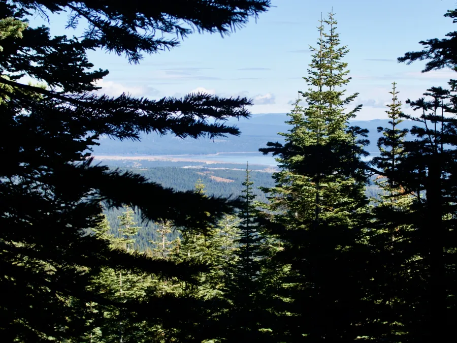 A view of Lake Almanor