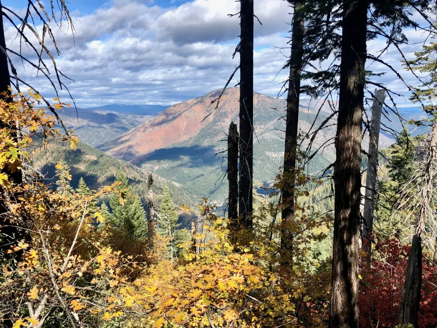 A view of Chips Creek Canyon