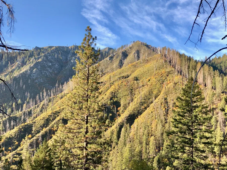Snow on a ridge