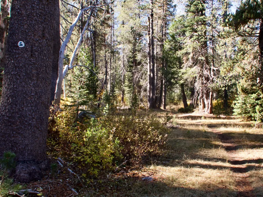 A flat and smooth trail