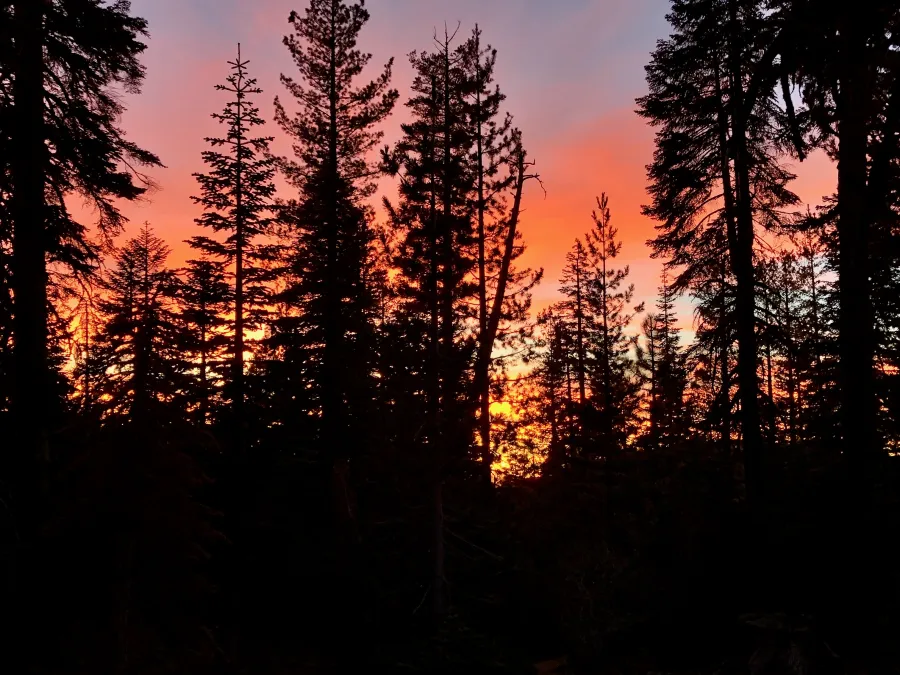 The last sunset