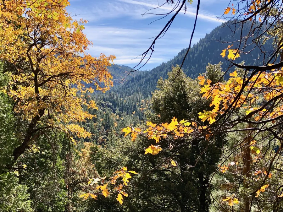 View of Haypress Creek